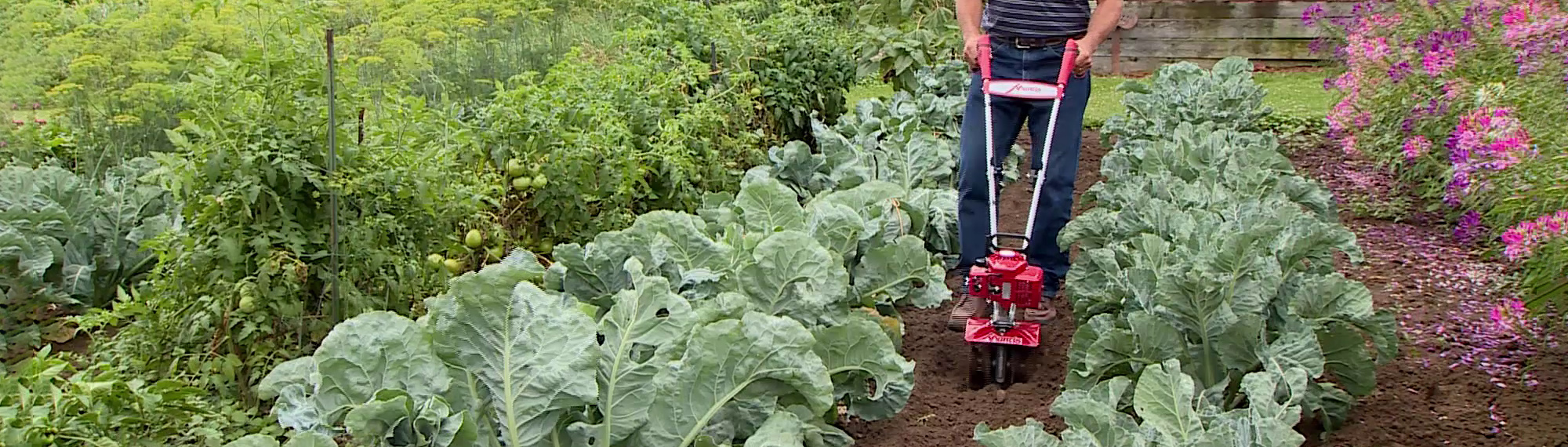 Mantis 7920 2-cycle tiller by Schiller Grounds Care Mantis 7920 2-cycle tiller by schiller grounds care